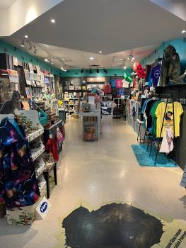 Full shot of the Museum Gift Shop