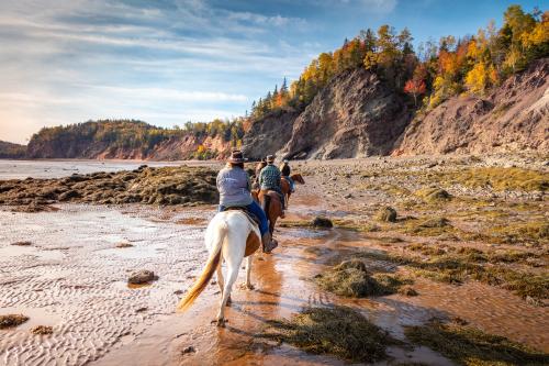 Guests riding horses along the beach with cliffs in the background. 