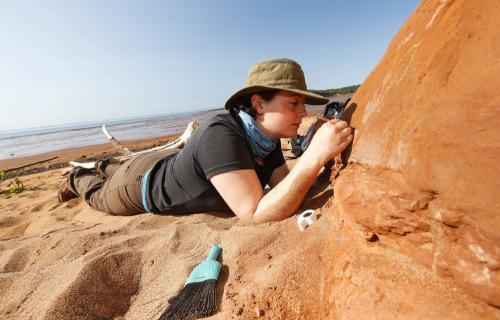 Person digging or fossils at Wasson Bluff.