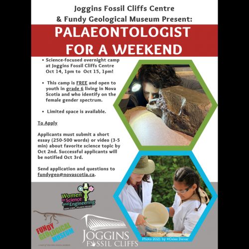 W.I.S.E Camp – Palaeontologist for a Weekend graphic.