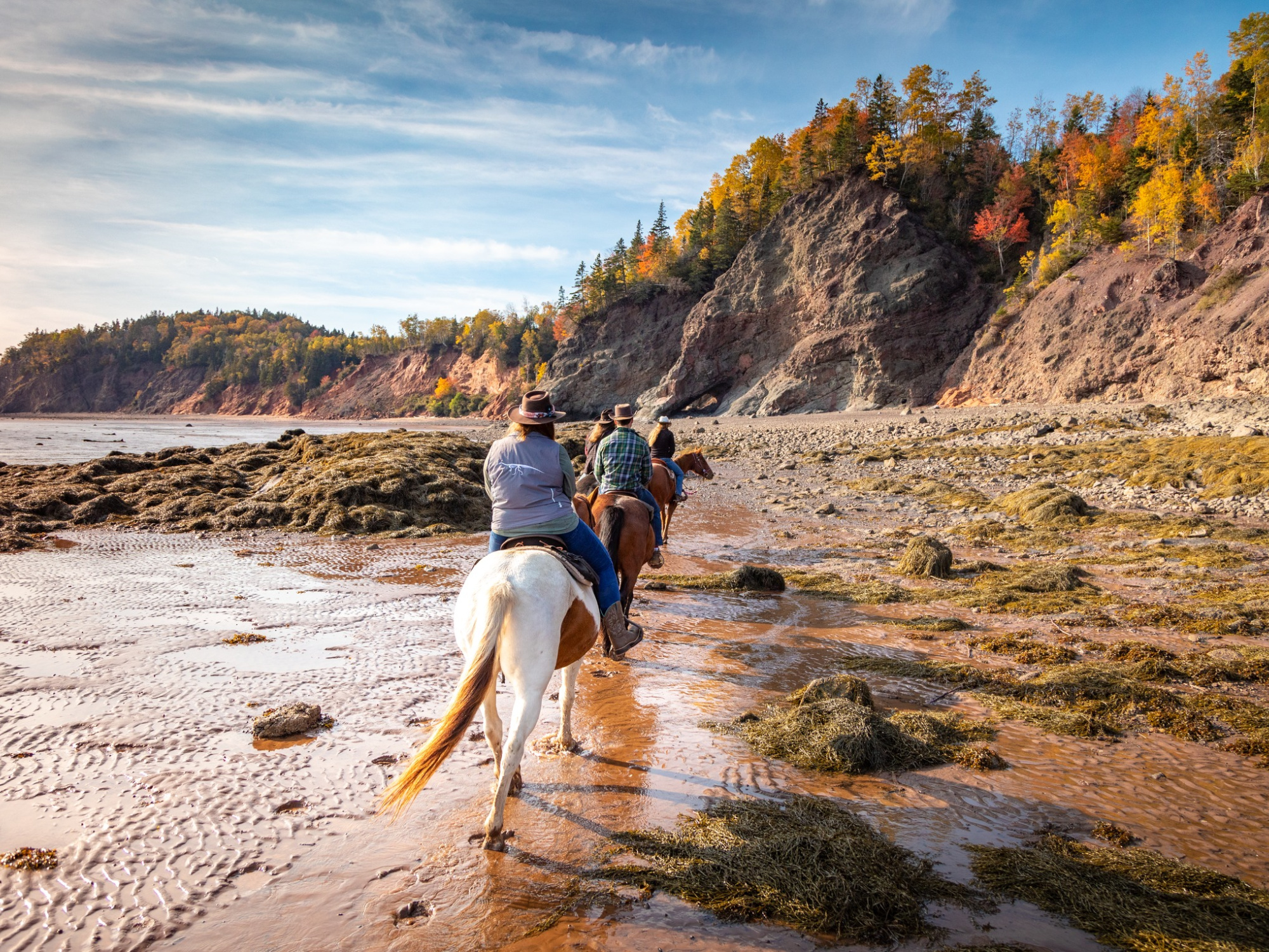 Museum team and visitors heading down the beach on horseback.