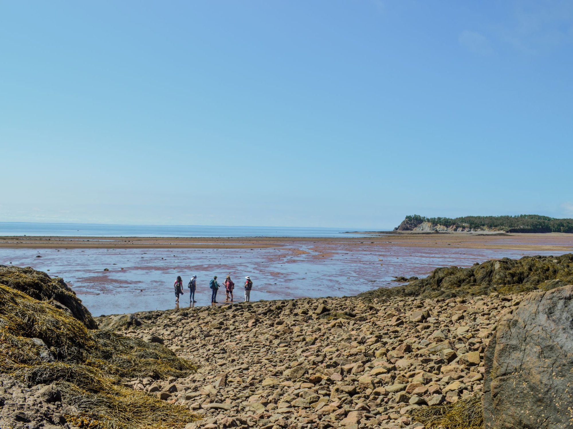 Visitors on a tour of Wasson Bluff, rocky beach, clear blue sky.