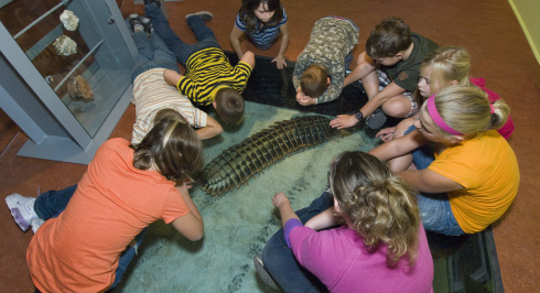 Children looking at Arthropleura.
