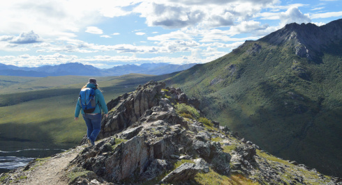 Sheep Creek at Denali National Park.