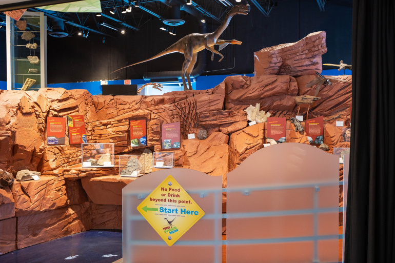 Gallery at the Fundy Geological Museum. Prosauropod model in the background. 