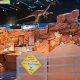 Gallery at the Fundy Geological Museum. Prosauropod model in the background. 