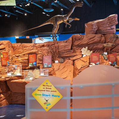 Gallery at the Fundy Geological Museum. Prosauropod model in the background. 